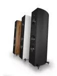 Acoustic Energy Corinium kolumny głośnikowe, podłogowe - 15