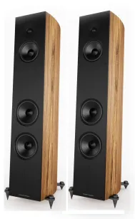 Acoustic Energy Corinium kolumny głośnikowe, podłogowe