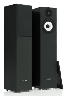 Pylon Audio Pearl 20